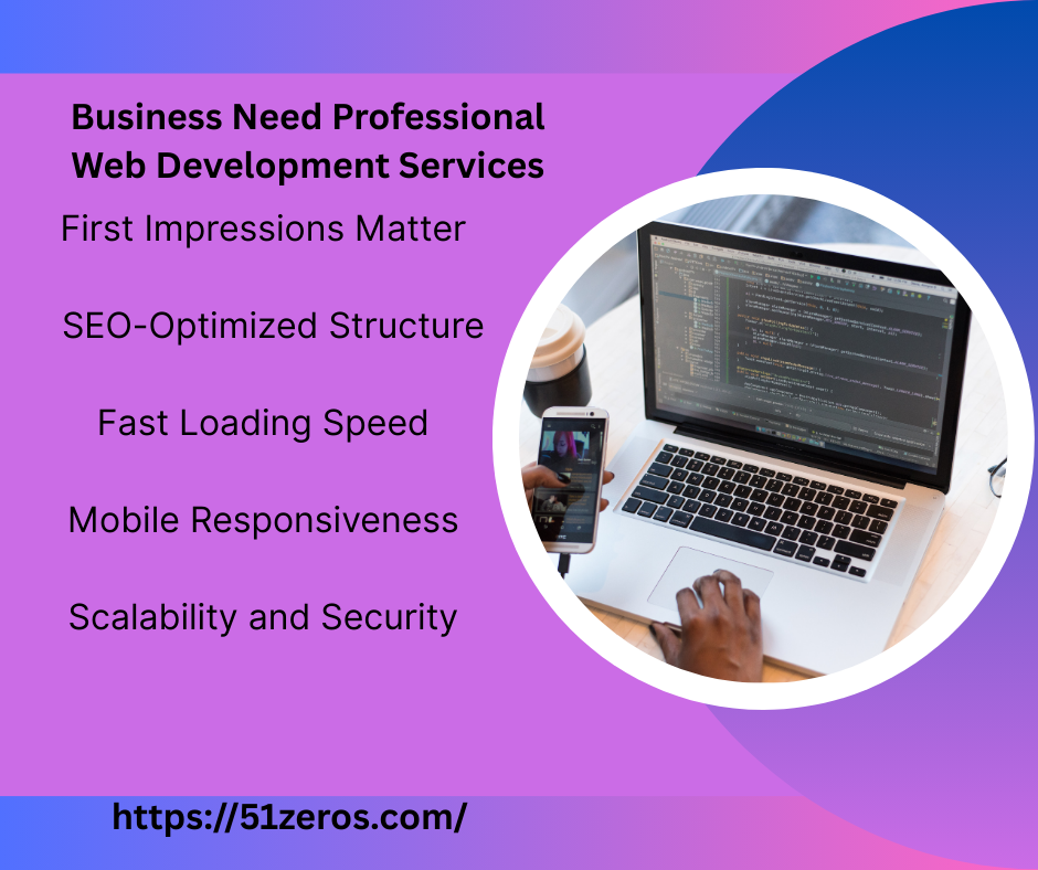 Business Need Professional Web Development Services