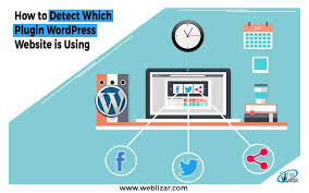 WordPress Websites Plugins